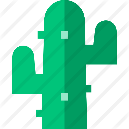 Cactus - Colorfulness (512x512)