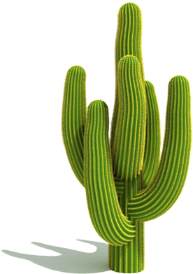 Free Icons Png - Kaktus (300x415)