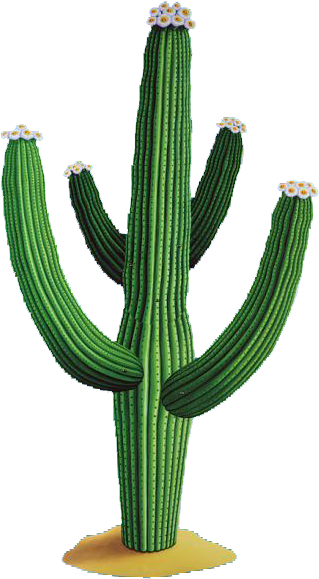 Cactus Free Png Download Vector - Cactus Jointed Cutout – 4.6 Ft / 1.4m – Pack Of 10 (330x600)