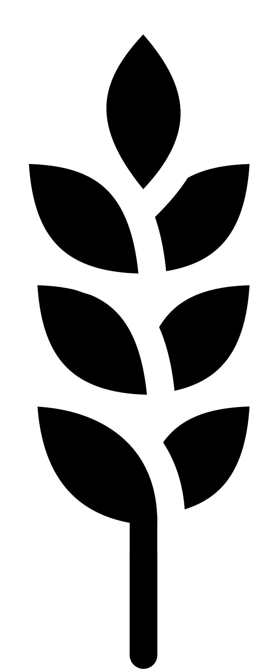 Beer Black And White Barley Clip Art - Beer Black And White Barley Clip Art (1755x2400)