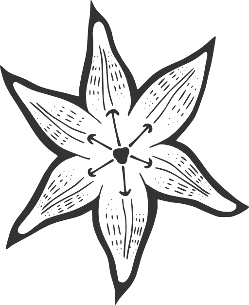 Лилия шаблон для вырезания 5 Lily Pad Quilting Stencil 846 Etsy Quilting stencils, Flower coloring pages,