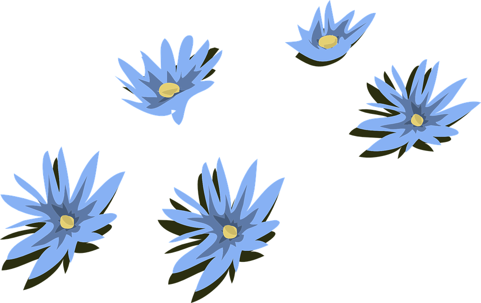 Blue Flower Clip 29, Buy Clip Art - Vektor Bunga Biru Png (960x604)