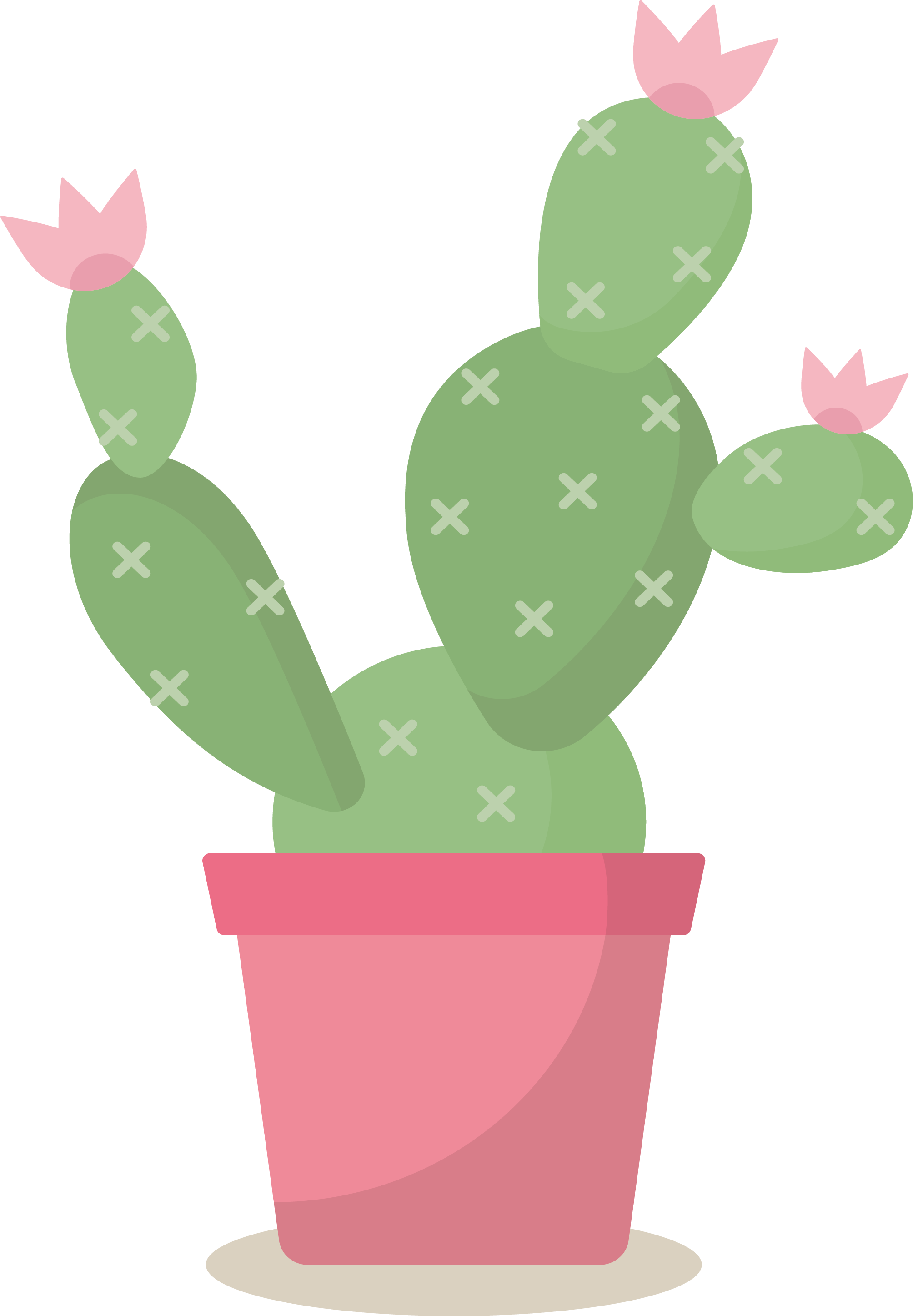 Cactaceae Flowerpot Euclidean Vector - Cactus (2008x2893)