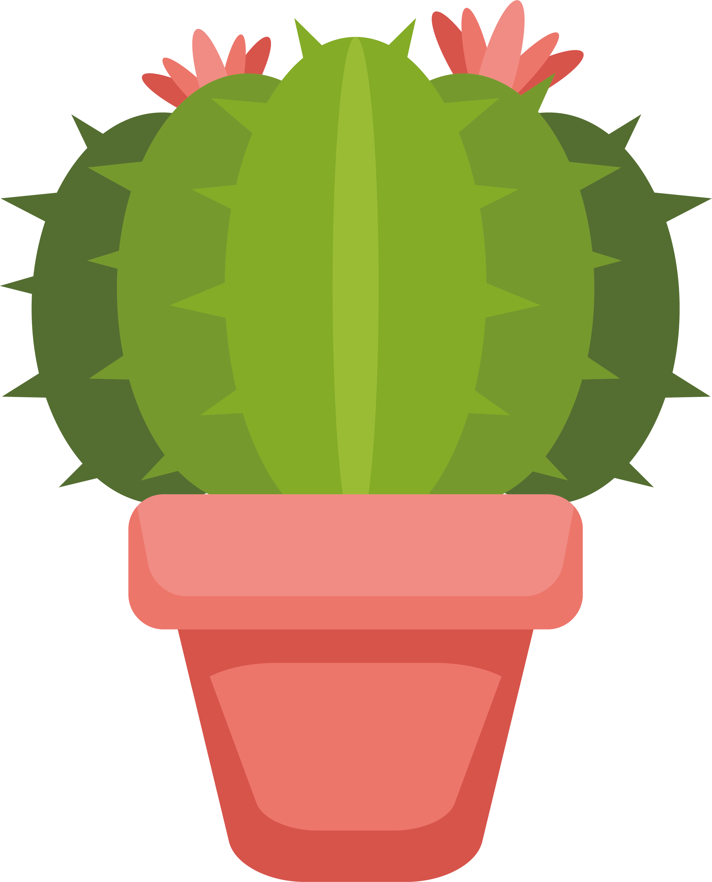 Cactaceae Peyote Euclidean Vector Flowerpot Illustration - Cactus Vector Png (2270x2811)