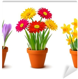 Spring Colorful Flowers In Pots - Flowers In A Flower Pot (400x400)