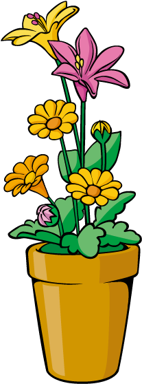 Vector Small Chrysanthemum - Chrysanthemum (700x700)
