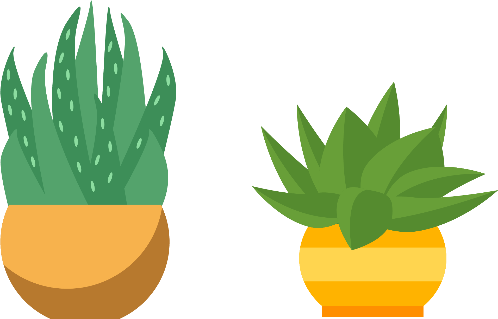 Cactaceae Flowerpot Succulent Plant - Cactus (2238x1450)