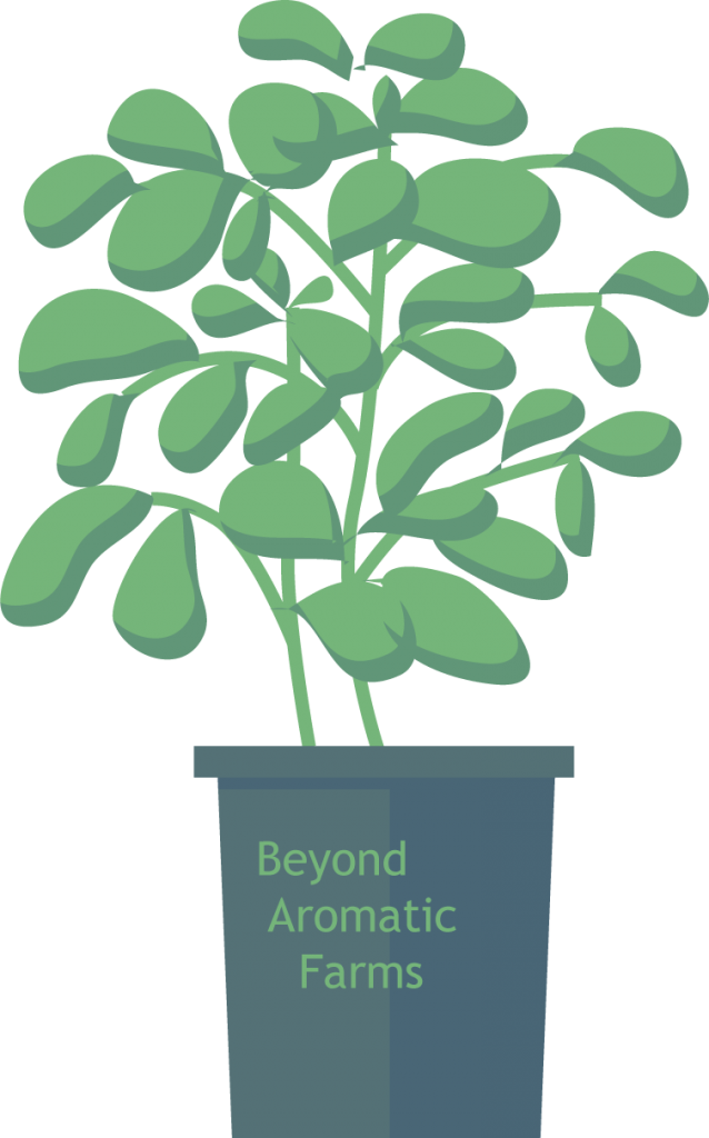 Vector Graphics (638x1024)