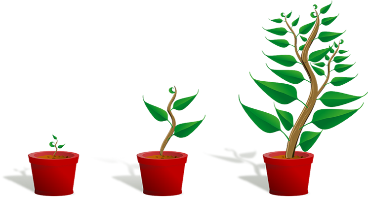 Cuidado De Las Plantas - Getting To Know Plants (745x400)