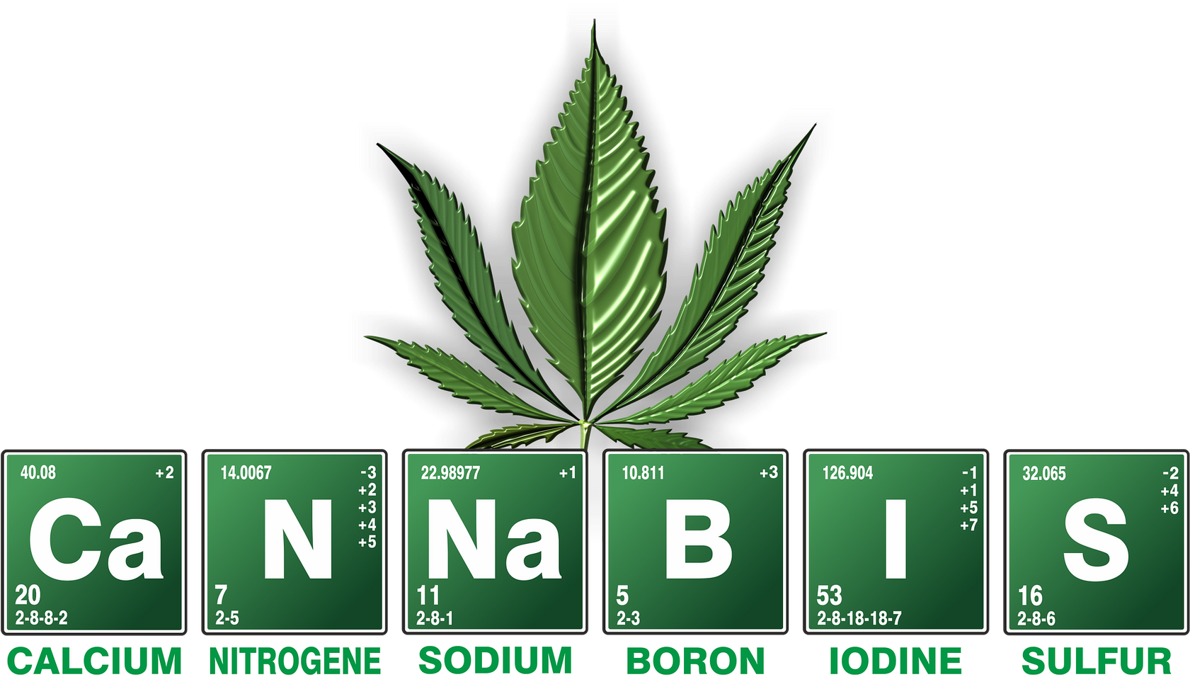 A Que La Maceta Se Ha Quedado Pequeña Y Bastará Con - Cannabis 2018 (1680x966)