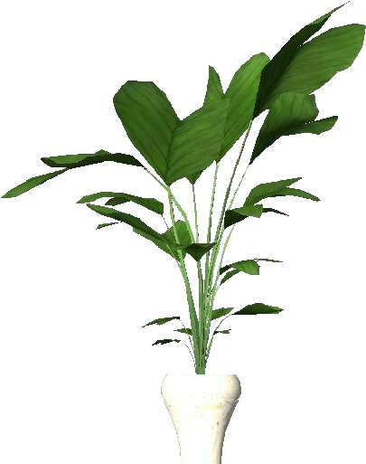 Latest Plantas D Planta En Maceta Para With Plantas - Plantas En Macetas Png (750x527)