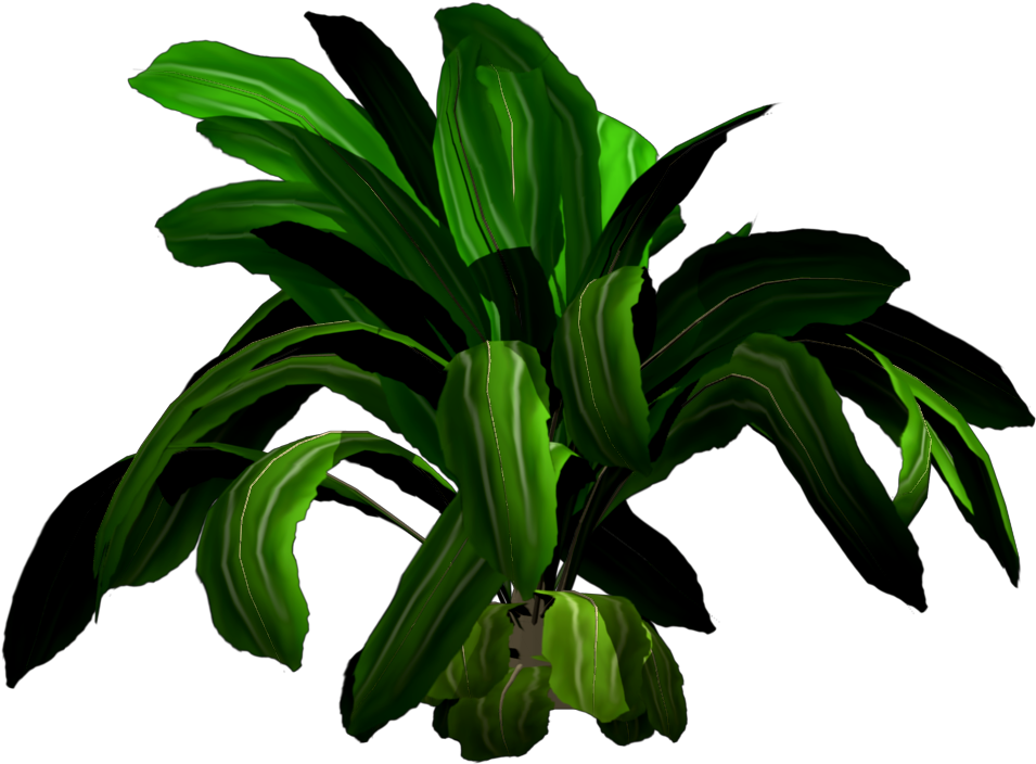 Margarida Ruivo Pinturas Decoracao Com Plantas - 3d Plant Png (1024x768)