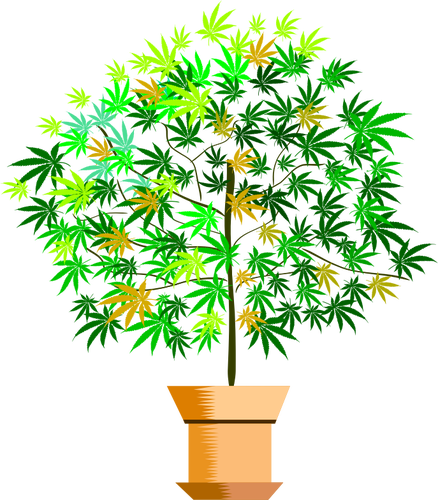 Imagen Vectorial De Planta En Maceta - Plant Clipart (438x500)