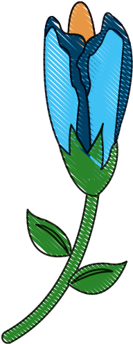 Beautiful Spring Flower In The Garden Vector Illustration - Japanese Honeysuckle (550x550)