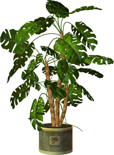 Garden Pot Plant - Potted Plants Png (368x500)