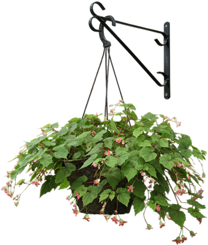 Zielono I Wiosennie - Hanging Flower Basket Clipart (427x500)