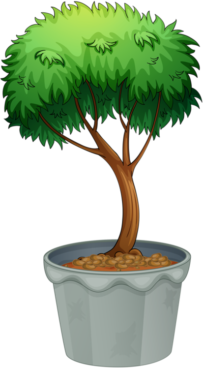 Arbustosfrutaflores En Macetaplantas - Potted Tree Drawing (463x800)