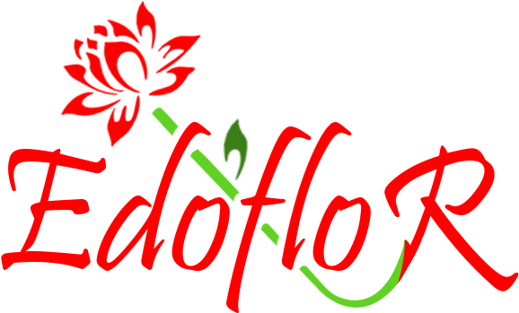 Edoflor - Lotus Flowers Graphic Decal - Custom Sized (personalized) (710x380)