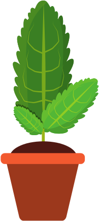 Plant In Pot Vector Illustration - Illustration (550x550)