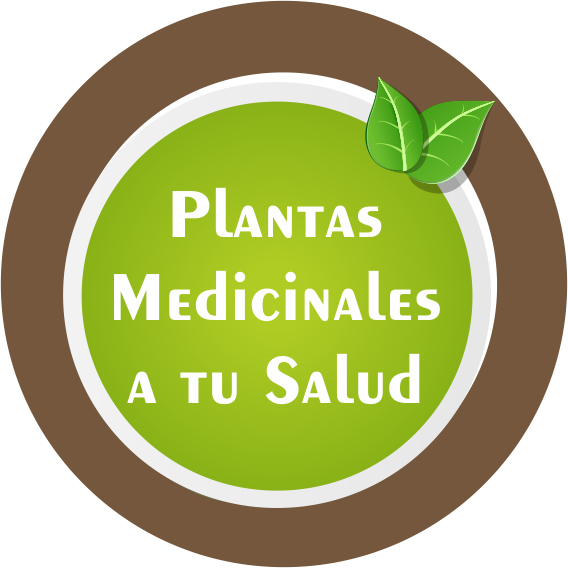 Fotos Propias, Y Otras Desde Pinterest Y Flickr - Medicinal Plants (568x568)