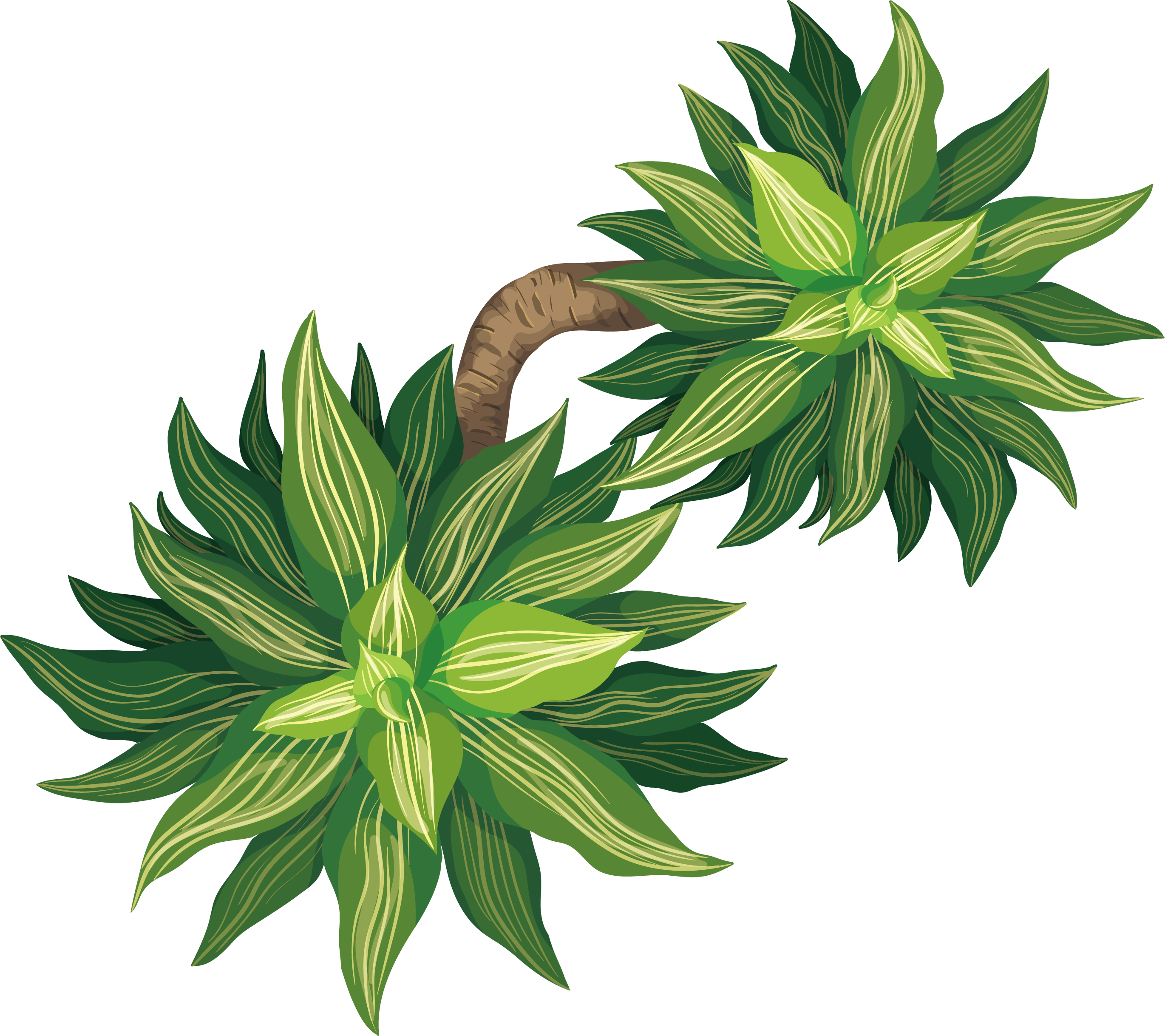 Tree Euclidean Vector Plant Flowerpot - Plantas En Planta (2741x2437)