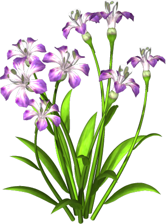 [res] Purple Flowers Png By Hanabell1 - Plants With Flowers Png (336x455)