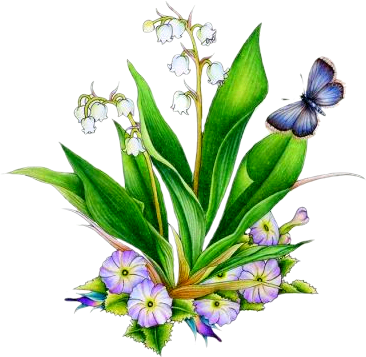 Publicat De Eu Ciresica La - Lily Of The Valley (366x357)