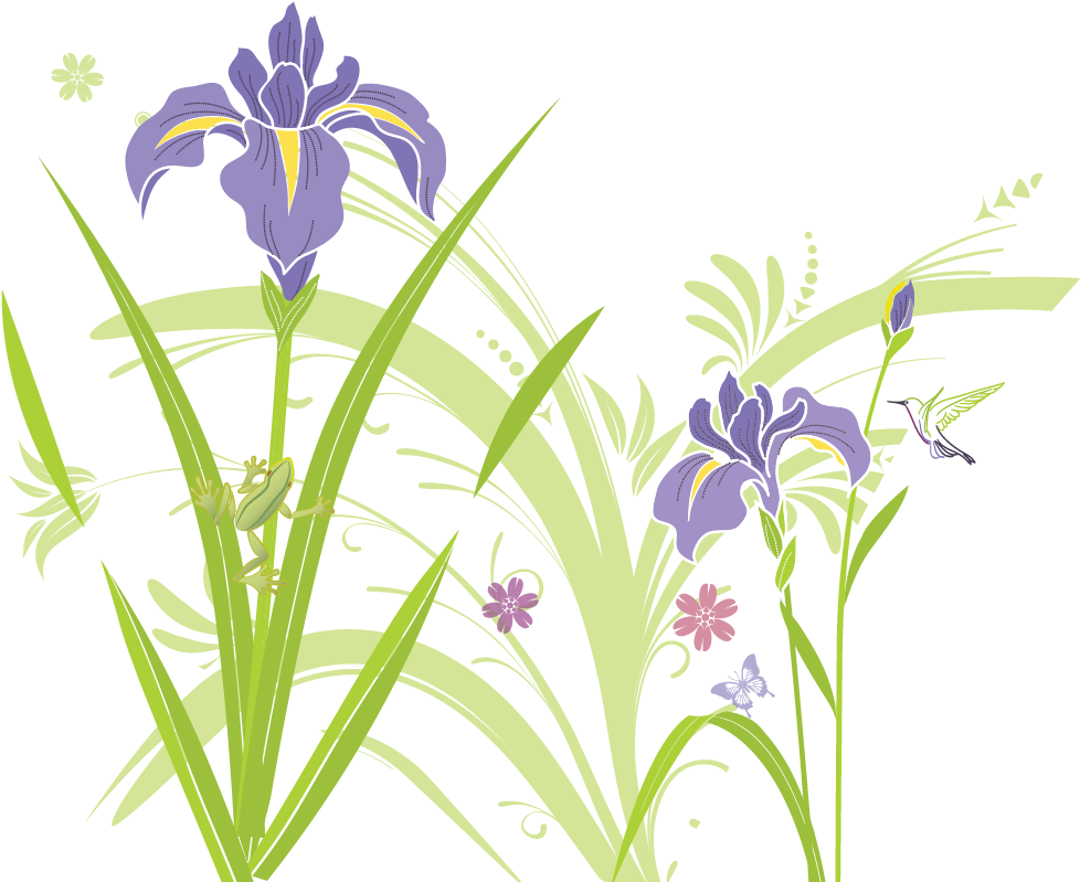 See You Next Year - Algerian Iris (1005x852)