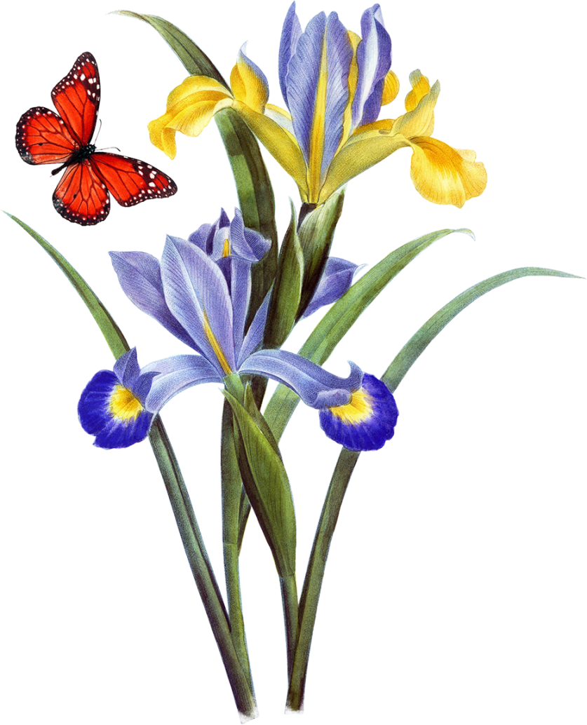 Com Wood Carving Price Discounts And Allowances - Com Wood Carving Price Discounts And Allowances (837x1034)