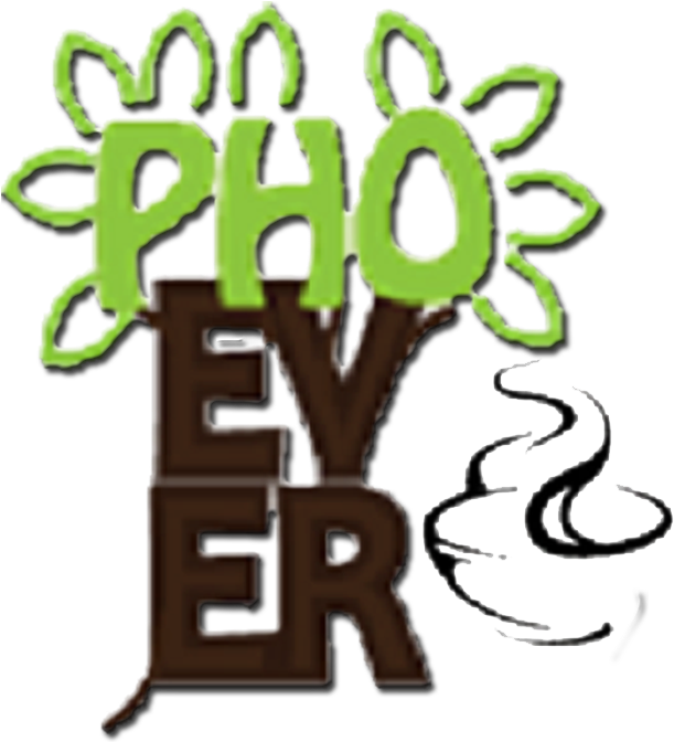 Authentic Southern Vietnamese Cuisine - Illustration (625x700)