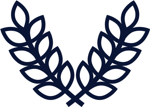 Beer Education Bond Distributing Baltimore Maryland - Beer (500x381)