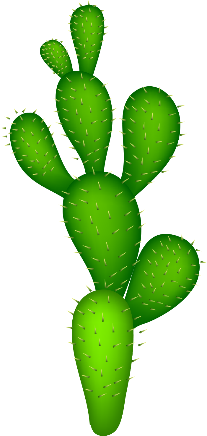 Cactaceae Clip Art - Cactus Vector Png (700x1555)