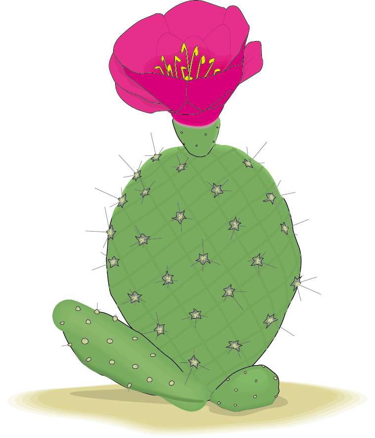 Cactaceae Clip Art - Flores De Cactus Vector Png (759x885)