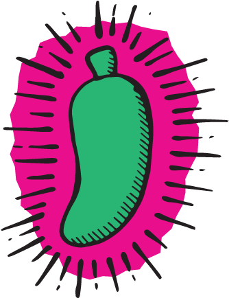 Xalapa - Illustration (480x480)