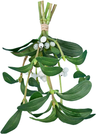 Christmas Seasonal Portable Network Graphics Mistletoe - Mistletoe Bunch Green 20cm - Christmas (409x489)