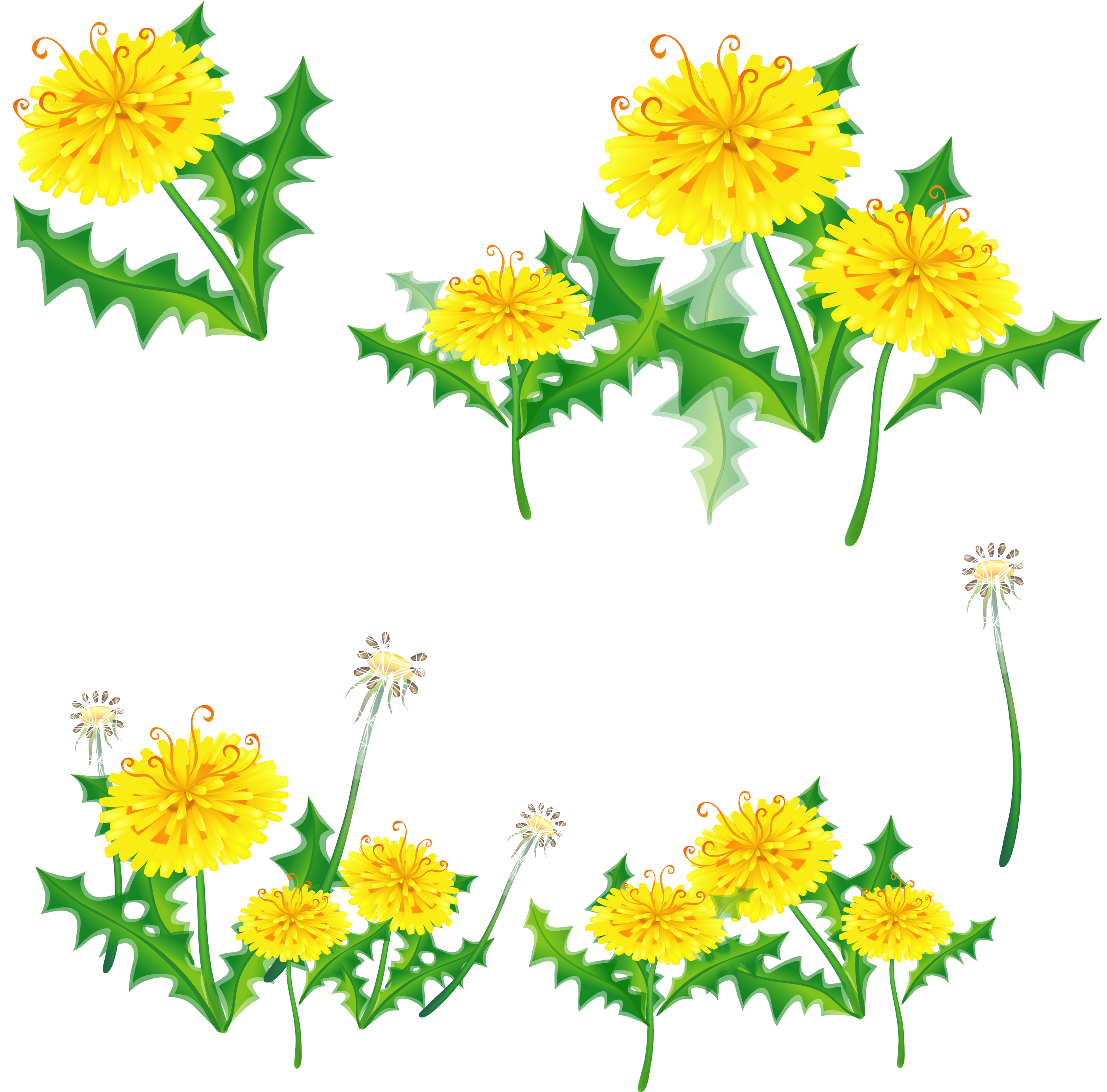 Dandelions Png - Мать И Мачеха Вектор Png (2900x2761)