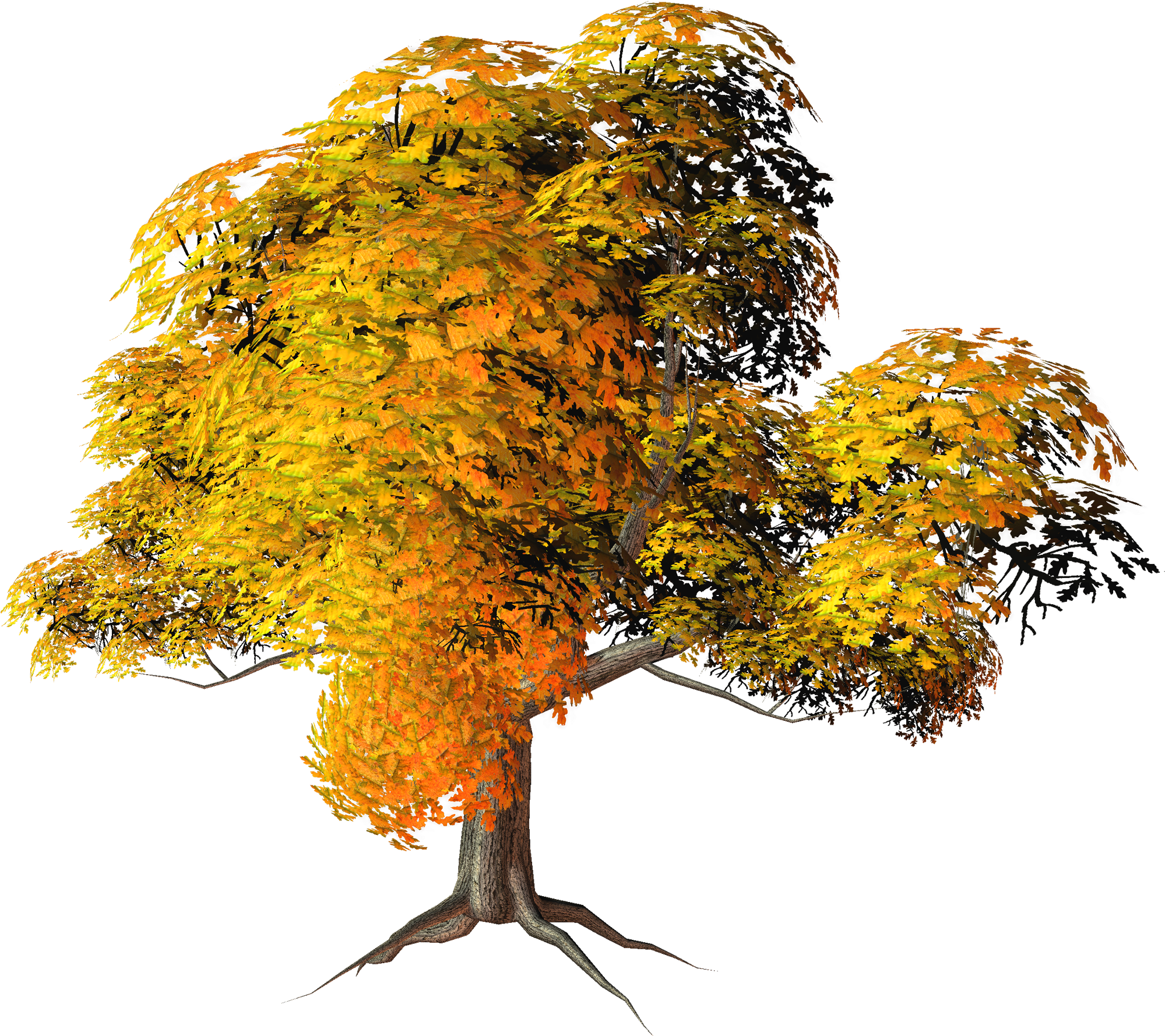 Has Found 20 Trees With Transparent Background - Fall Trees Png (2000x1787)