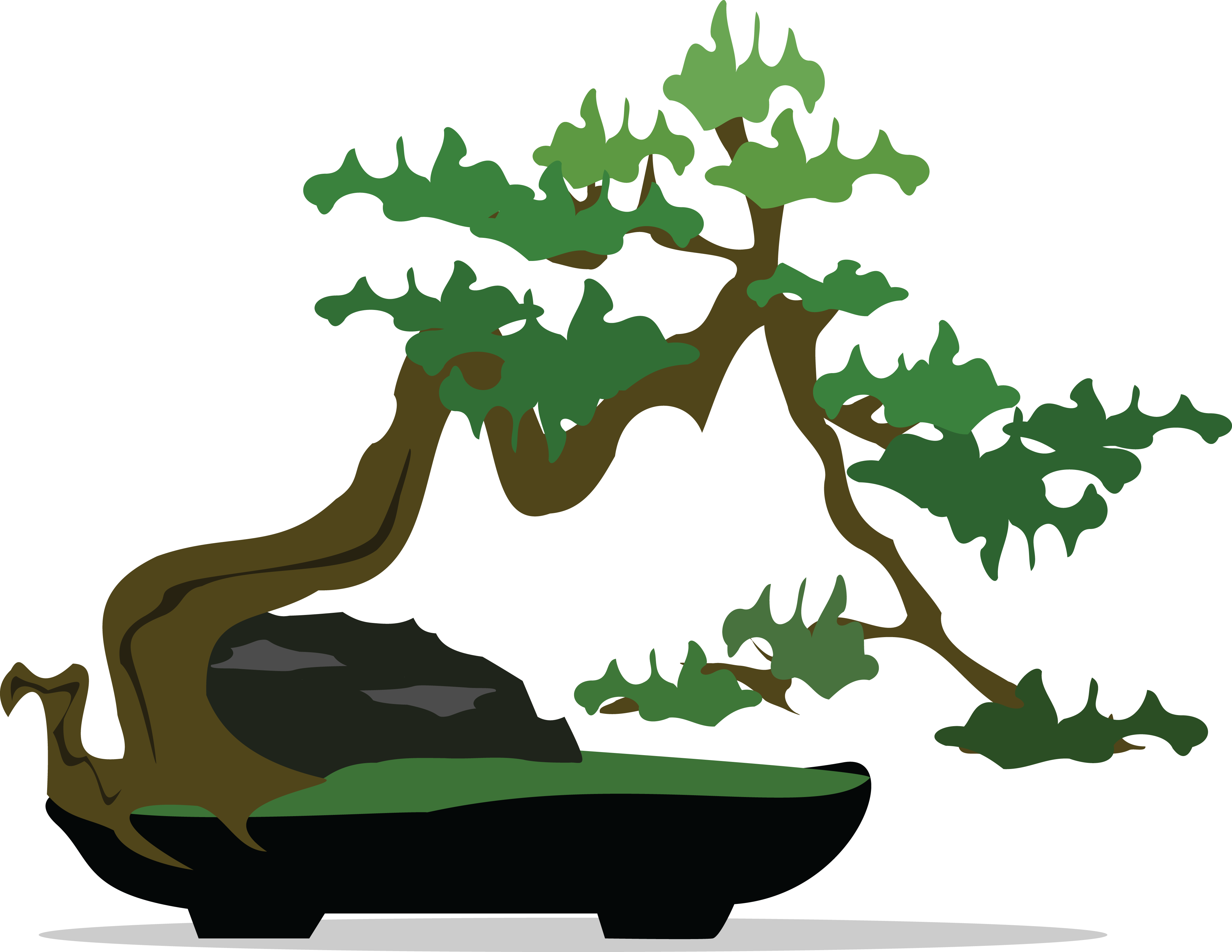 Free Clipart Of A Bonsai Tree - Bonsai Clipart (4000x3090)