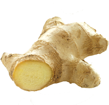 Champagne Transparent Png Sticker - Ginger Transparent Background (500x408)