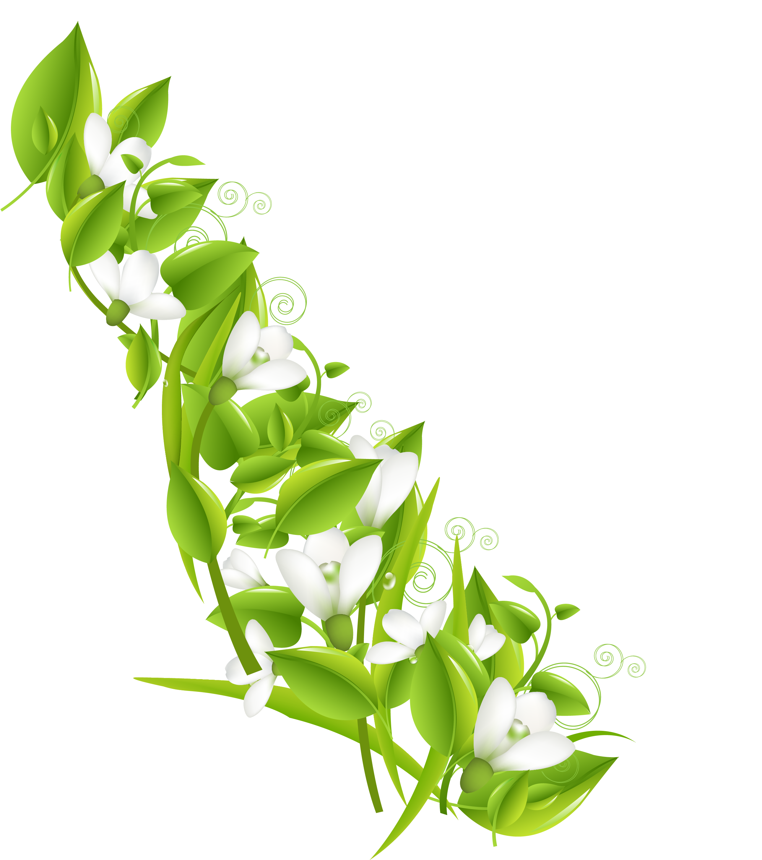 Iphone 4s Iphone 5s Iphone Se Flower - Lily Of The Valley (3125x3125)