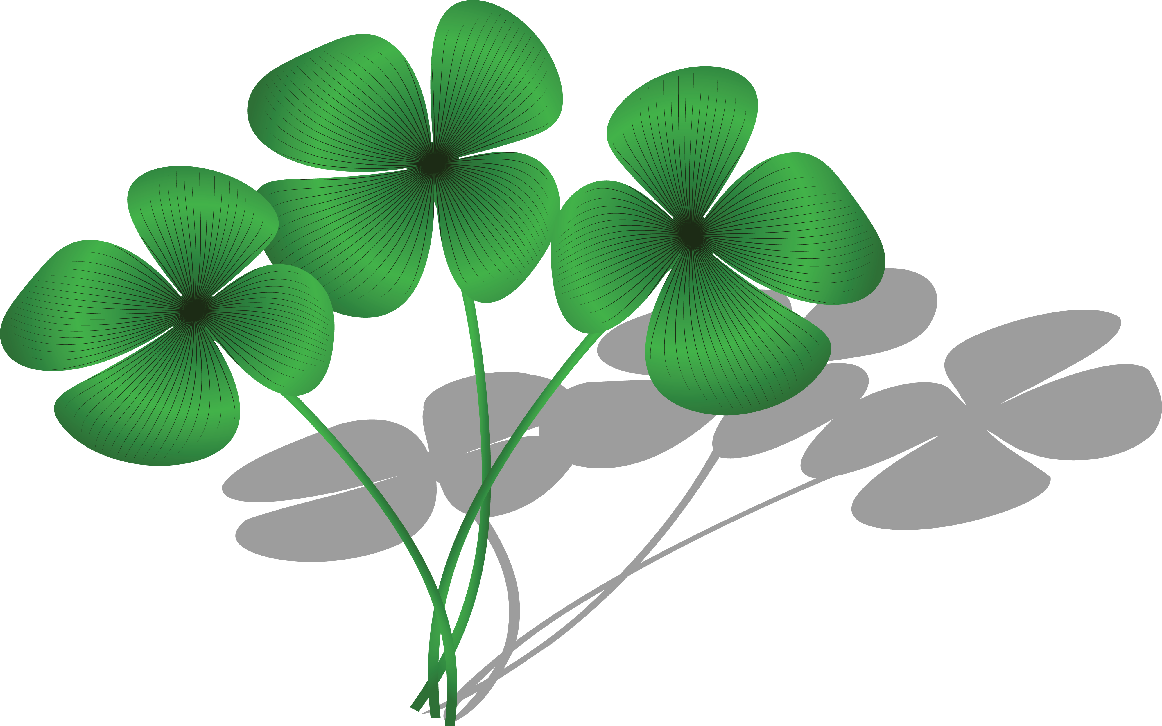 Free Clipart Of A Trio Of Four Leaf Clovers And Shadows - Four Leaf Clover Group (4000x2500)