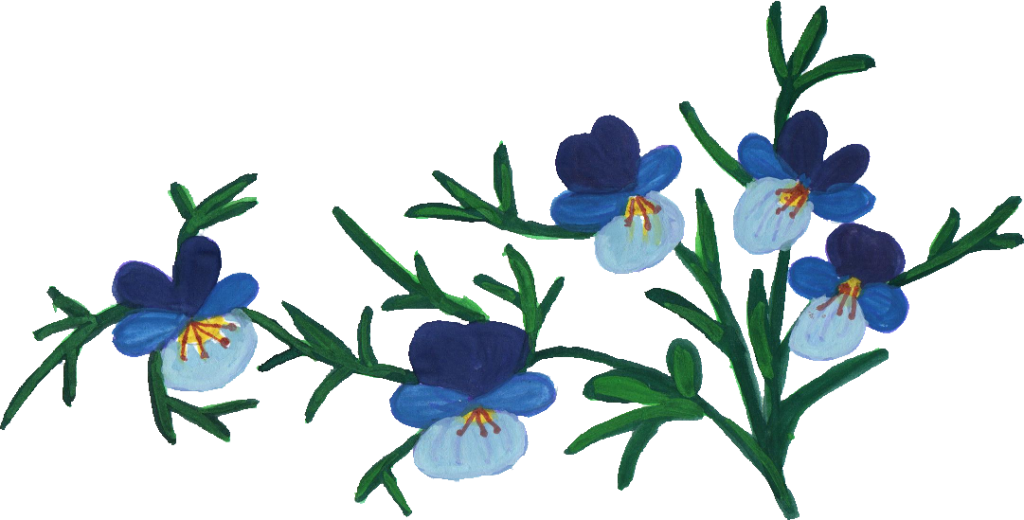 Png File Size - Dayflower (1024x520)