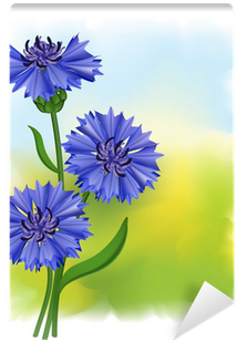 Flowers Blue Cornflower - Cornflower (400x400)