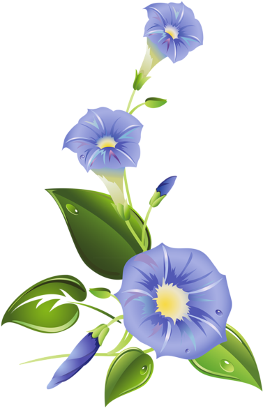 Morning Glory Page Dividers - Morning Glory Png (391x600)