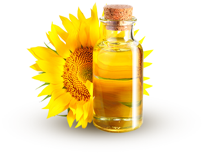 Sunflower Oil Png Image With Transparent Background - Sunflower Baby Massage Oil (419x316)