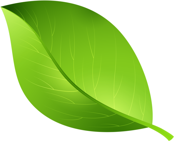 Green Leaf Transparent Png Clip Art Image - Leaf Clipart Transparent Background (600x491)