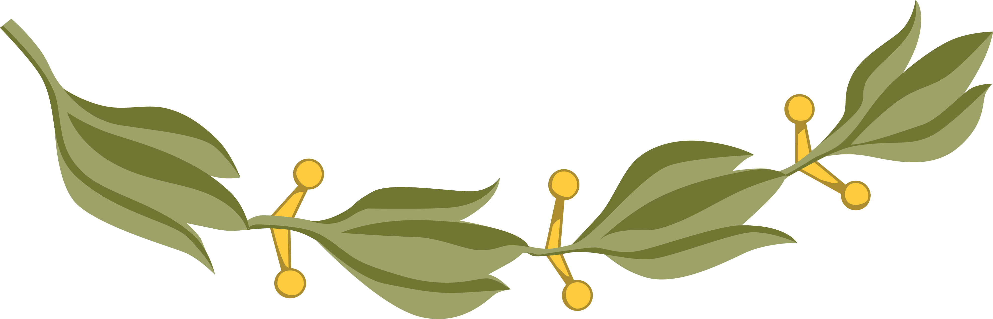 Free Clipart Of A Design Element Of Laurel Leaves - Coat Of Arms Of Mexico (4000x1285)