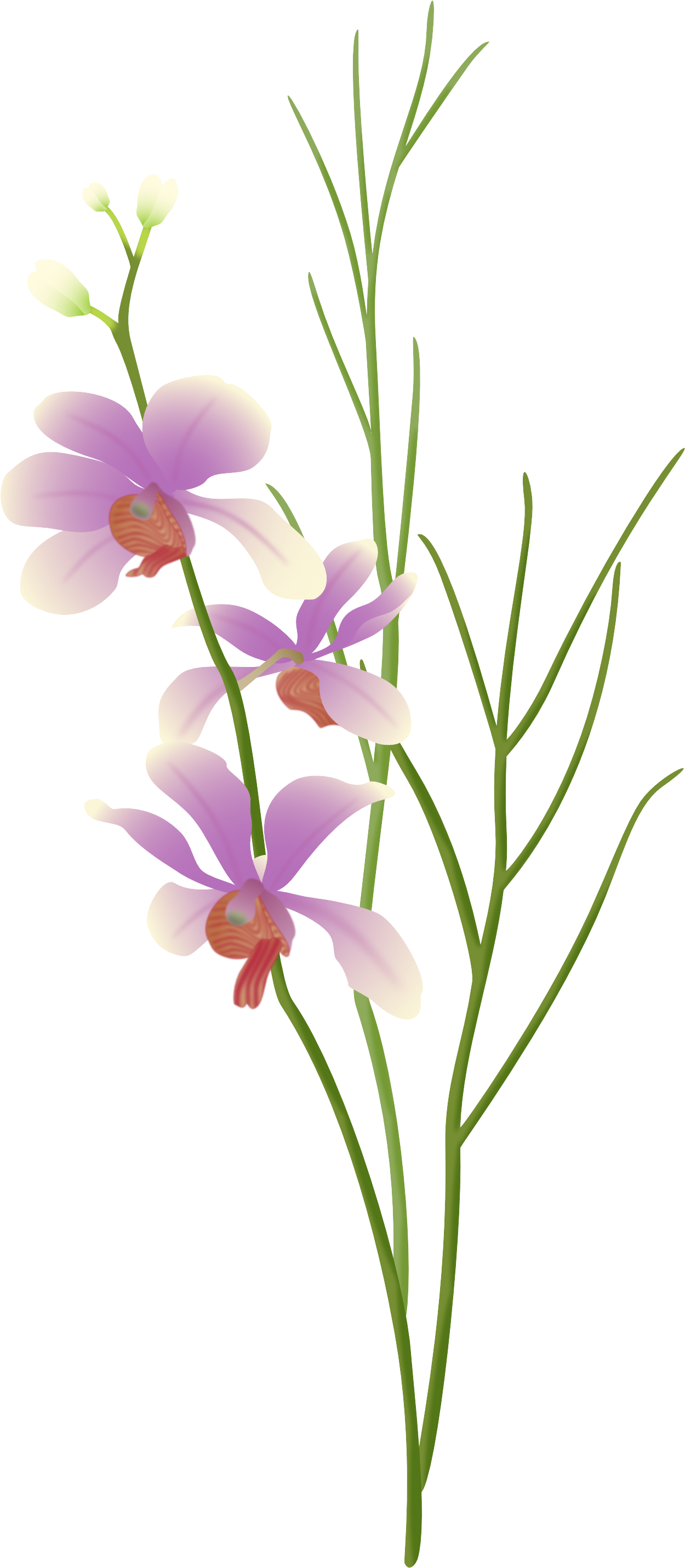 Cut Flowers Floral Design Plant Floristry - Cut Flowers Floral Design Plant Floristry (1348x2936)