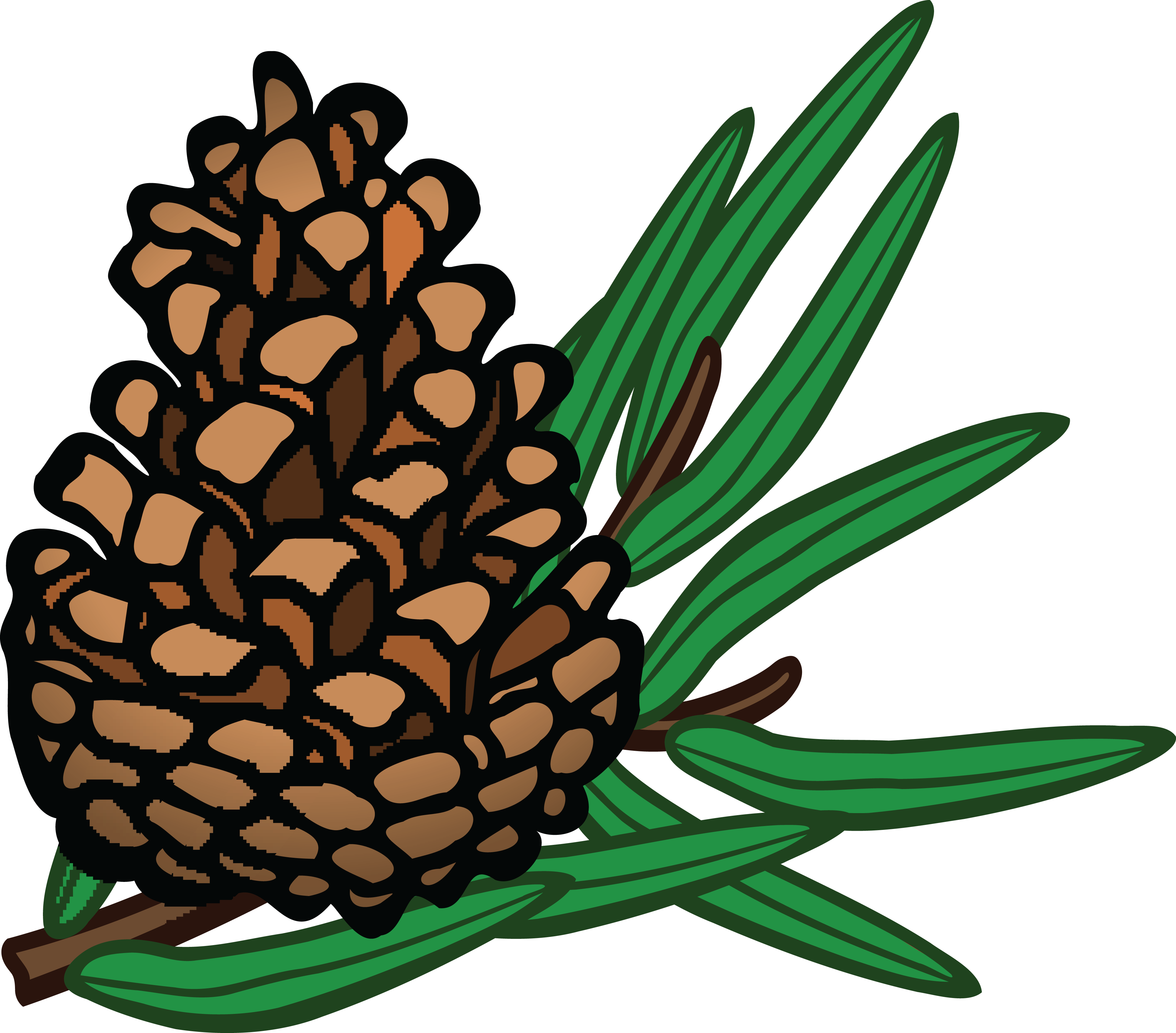 Free Clipart Of A Pinecone - Pine Cone Pine Clipart (4000x3514)