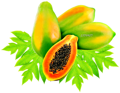 Png去背完成原圖 Network Graphics， - Papain Powder (400x323)